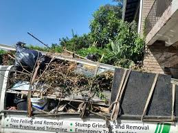 Trusted Candor, NC Junk Removal Services Experts